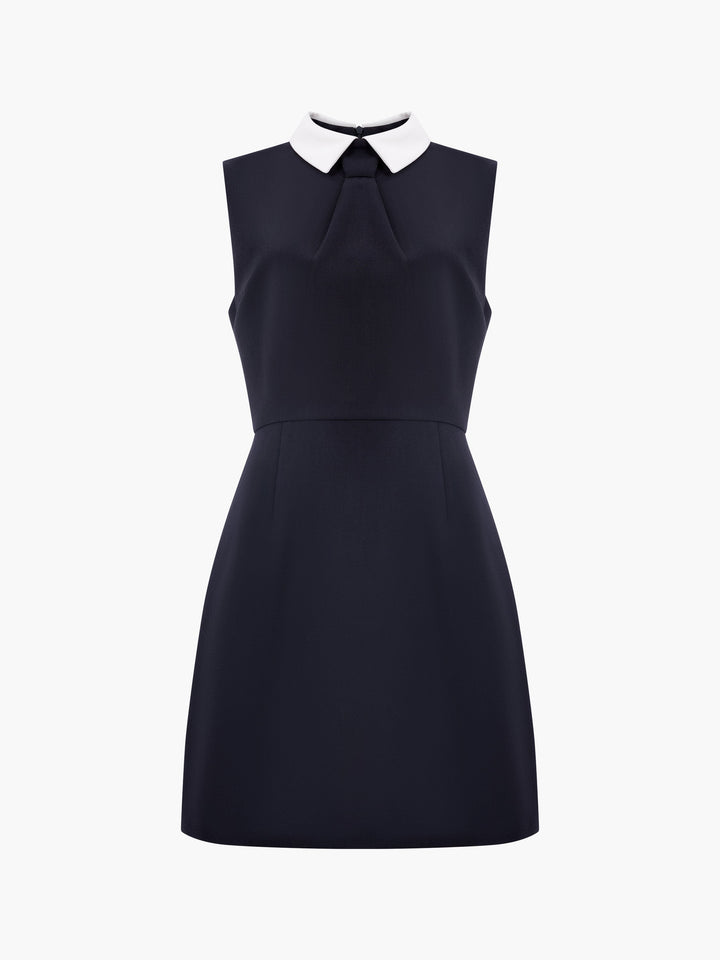 Gemma Collared Tie Mini Dress